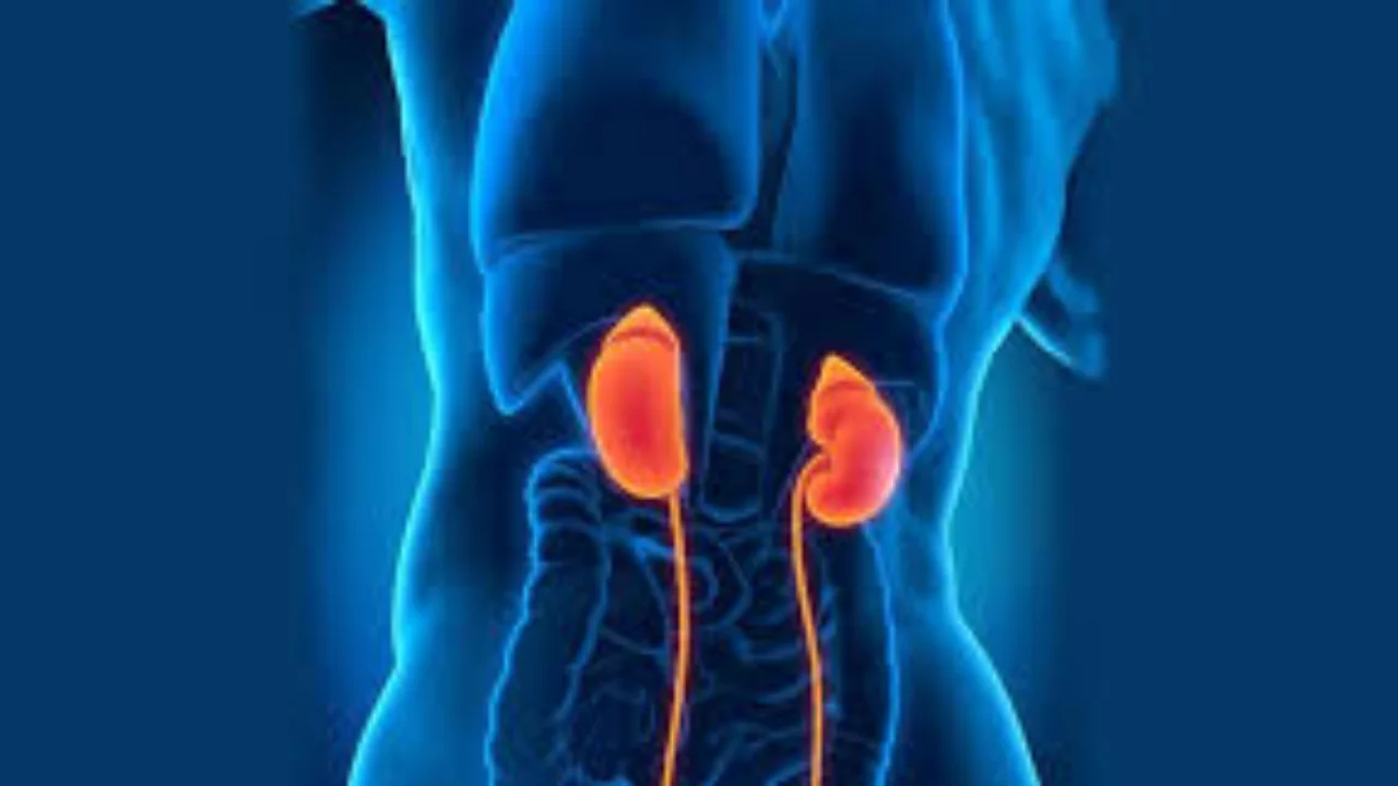 Böbrek taşı tedavisinde yeni yöntemler: Uzmanlar güncel...