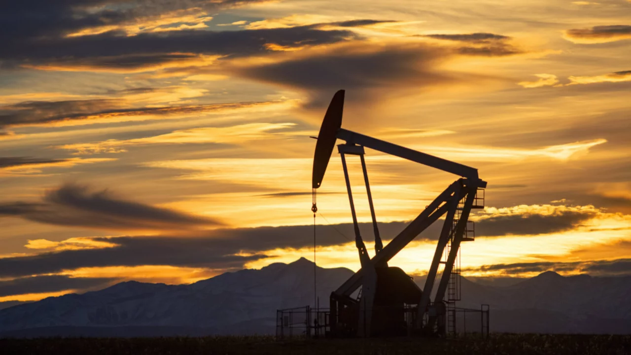 Birleşik Arap Emirlikleri 'stokçuluk' ve 'fahiş fiyatla...