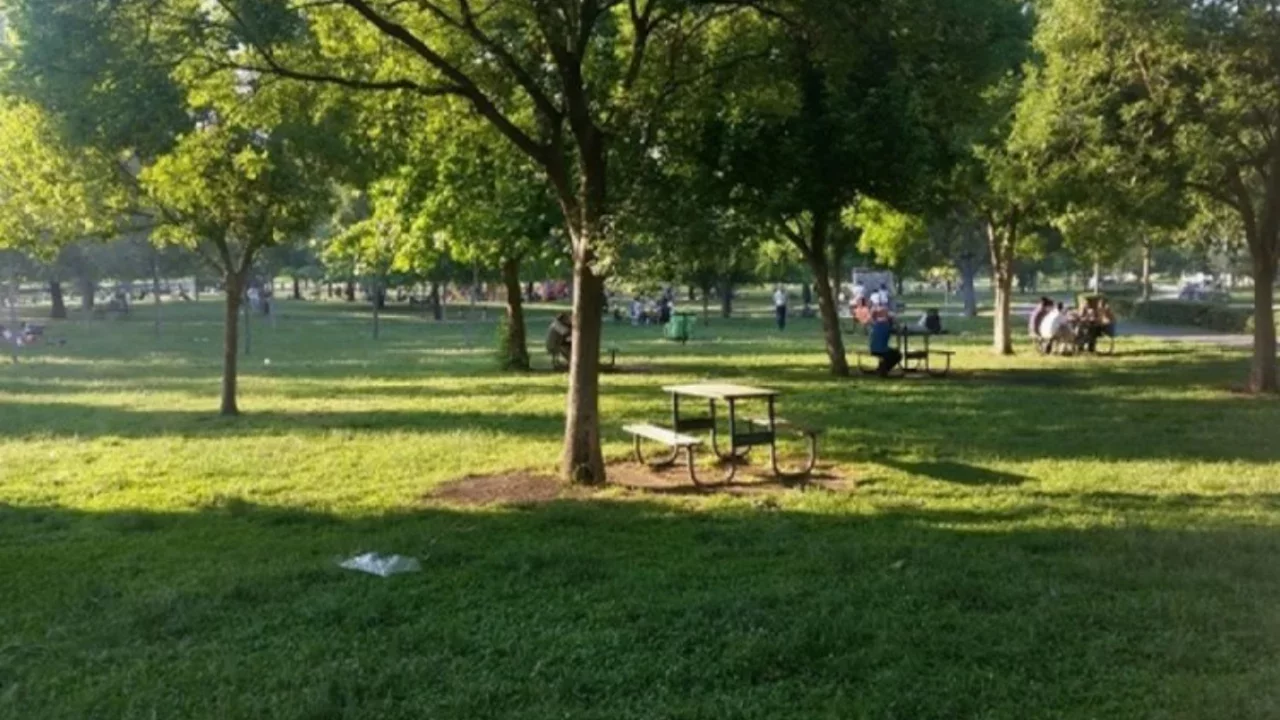 Bursa'da mesire alanı 3 ay boyunca kapalı olacak!