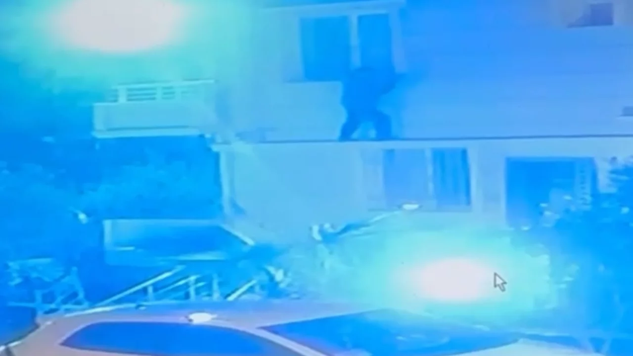 Sinekliği yırtıp dışarı çıktı, bir daha geri gelmedi! 