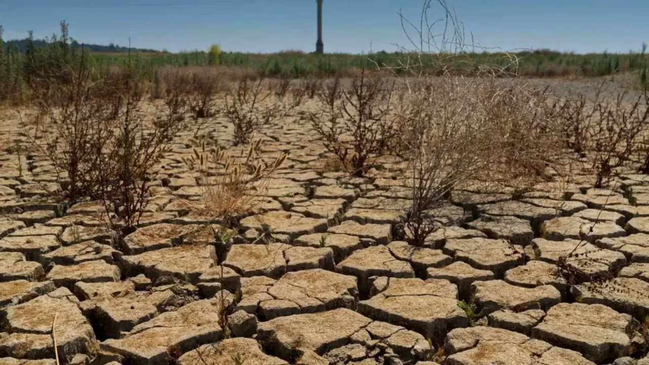 Türkiye'de kuraklık tehlikesi sürüyor: Uzmanlardan "rehavete kapılmayın" uyarısı