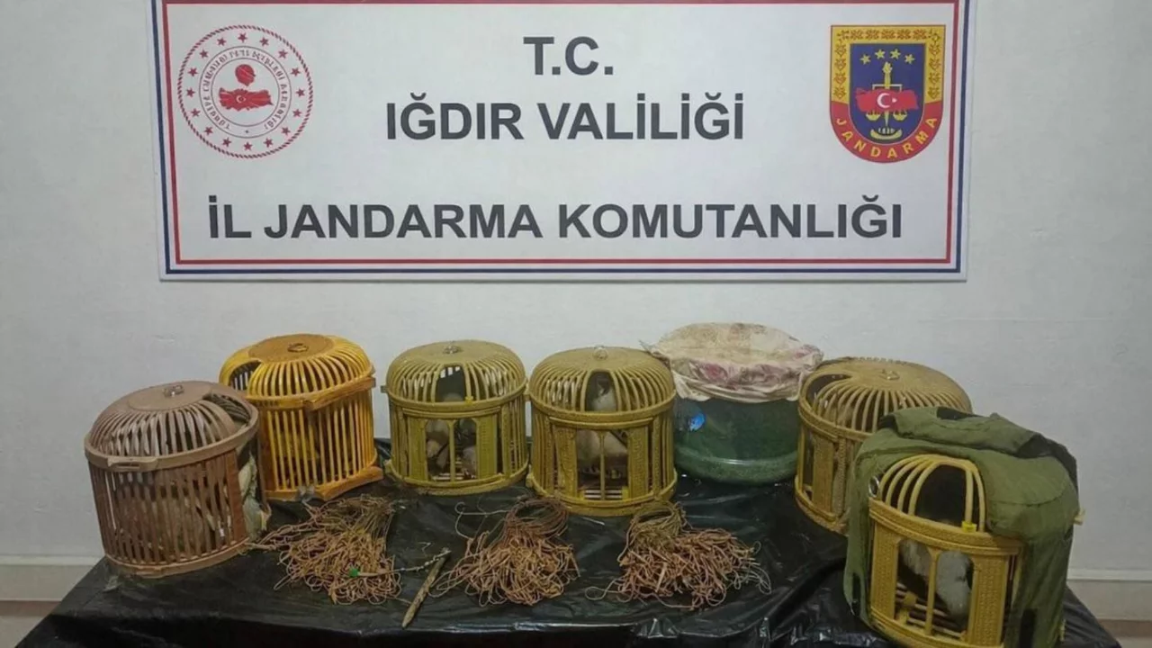 Iğdır'da Ka&ccedil;ak Keklik Avlayanlara Y&uuml;ksek Para Cezası