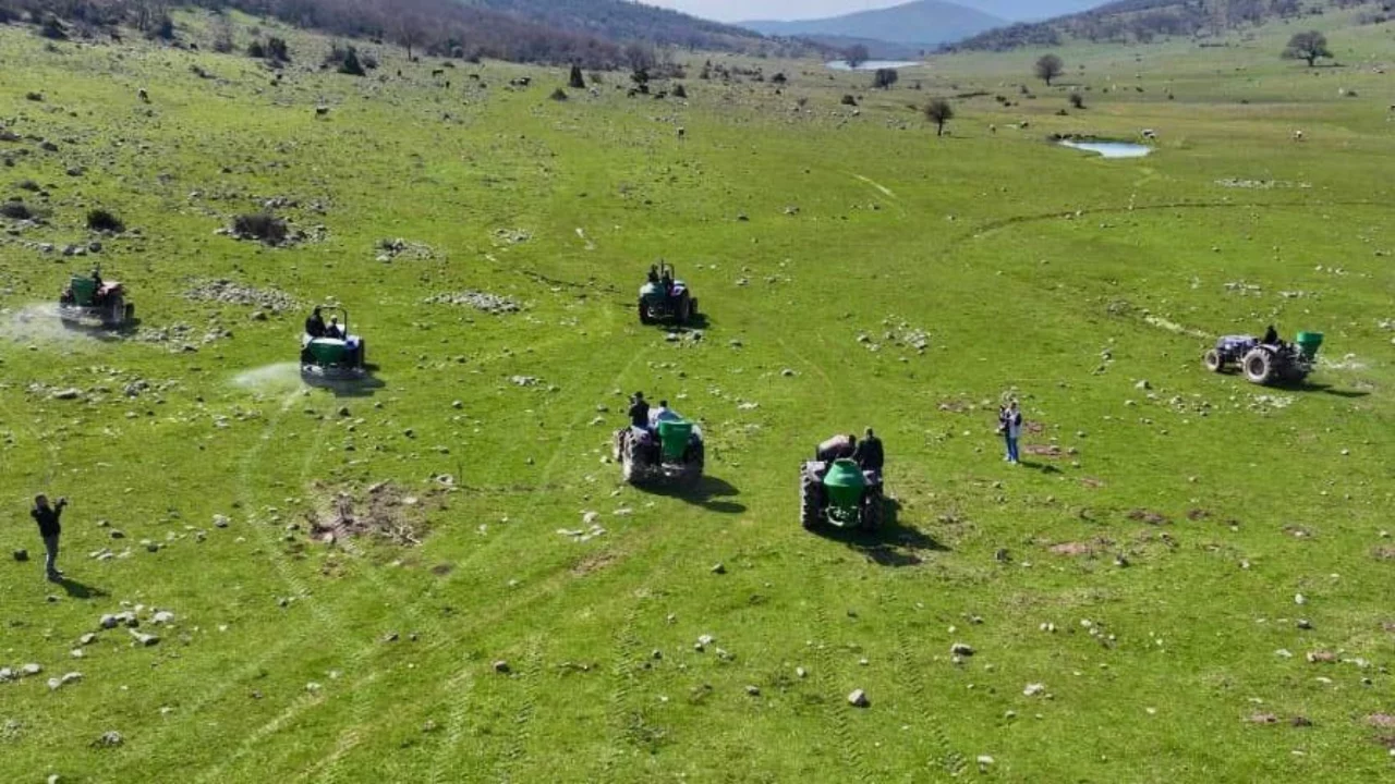 Manisa'da meralara 8,5 tonluk bereket