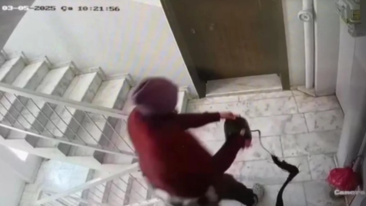 Apartmanda akılalmaz olay! Kapılara dışkı sürüyor, çöp döküyor
