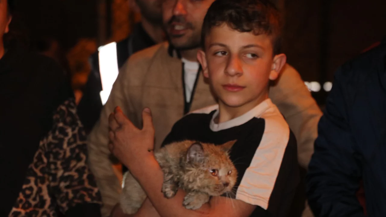 Yangında dairede mahsur kalan 'Duman'ı itfaiye kurtardı 