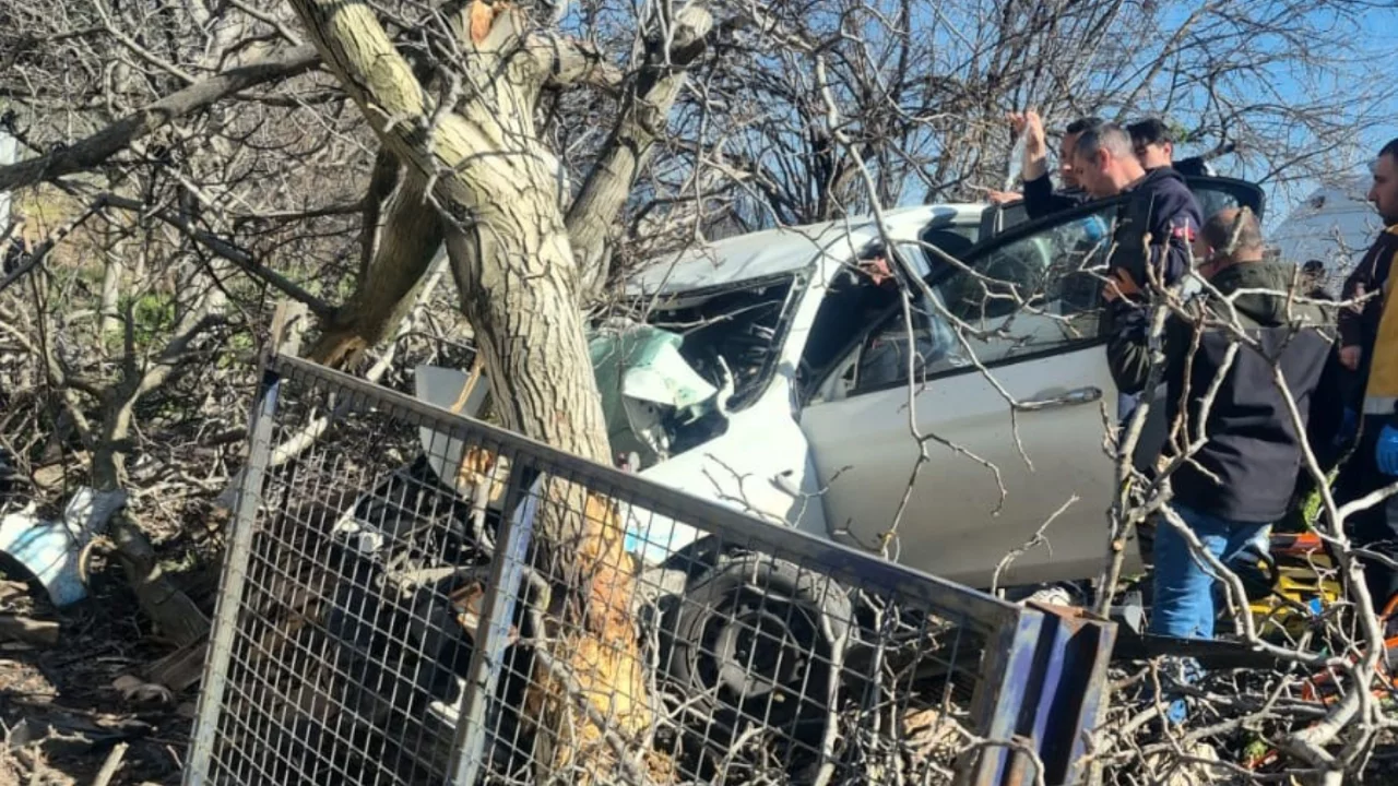 Kontrolden çıkan otomobil ağaçlara ok gibi saplandı: 2 ölü, 1 ağır yaralı
