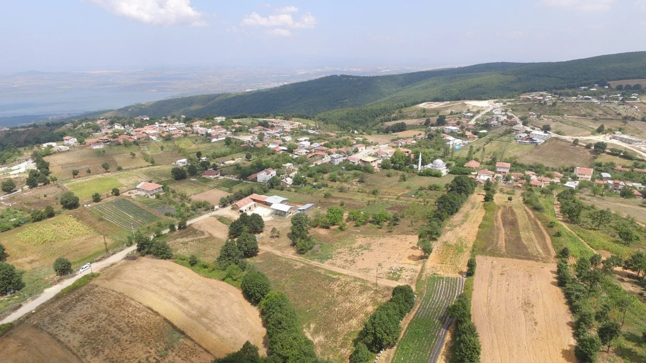 Bursa'da 'gelir getiren orman' hamlesi! 2 bölge seçildi, köylünün cebini dolduracak