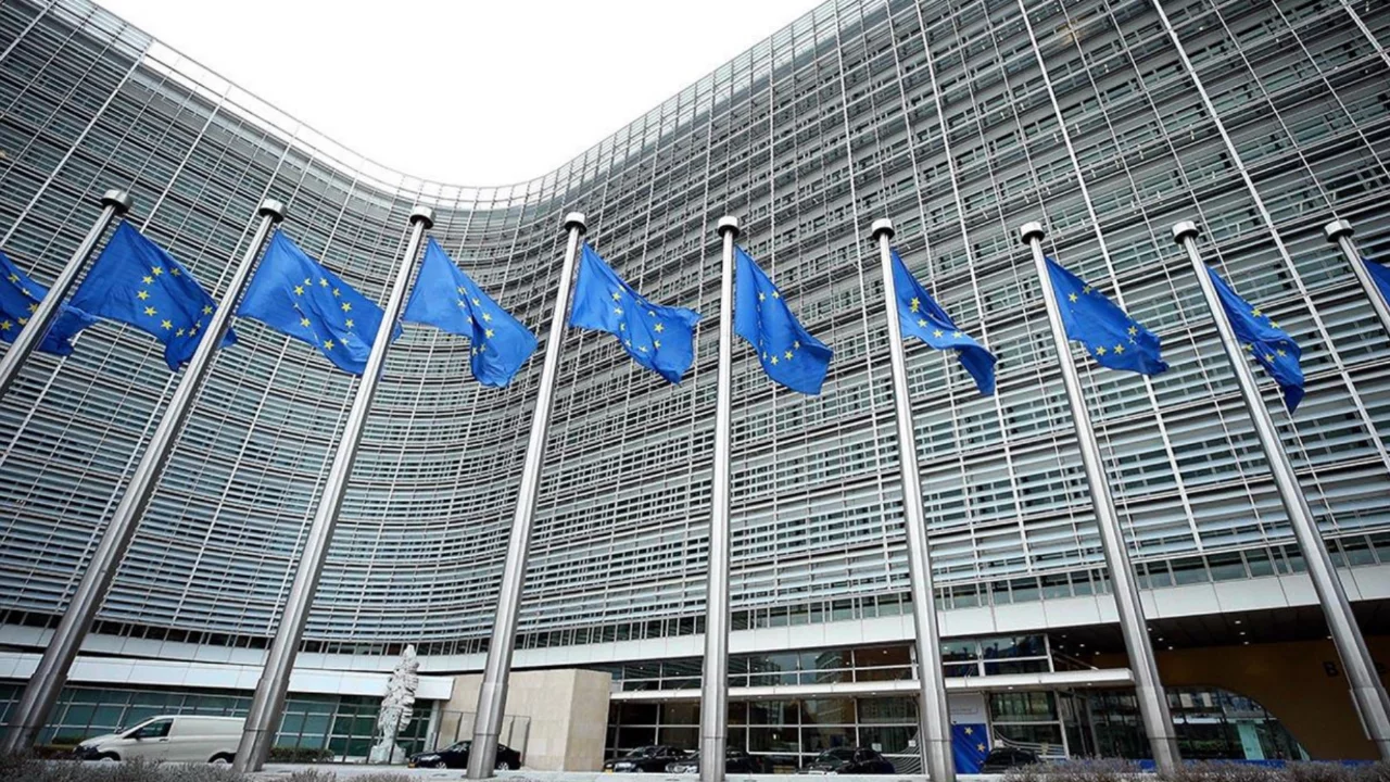 AB: "Özgürlük ve insan hakları bombalarla sağlanamaz"