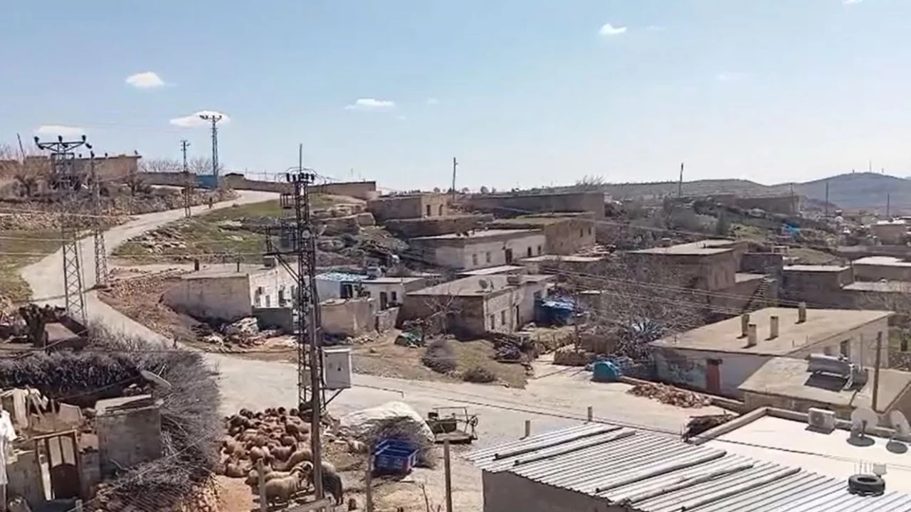 Kuduz alarmı sonrası mahalle karantinaya alındı