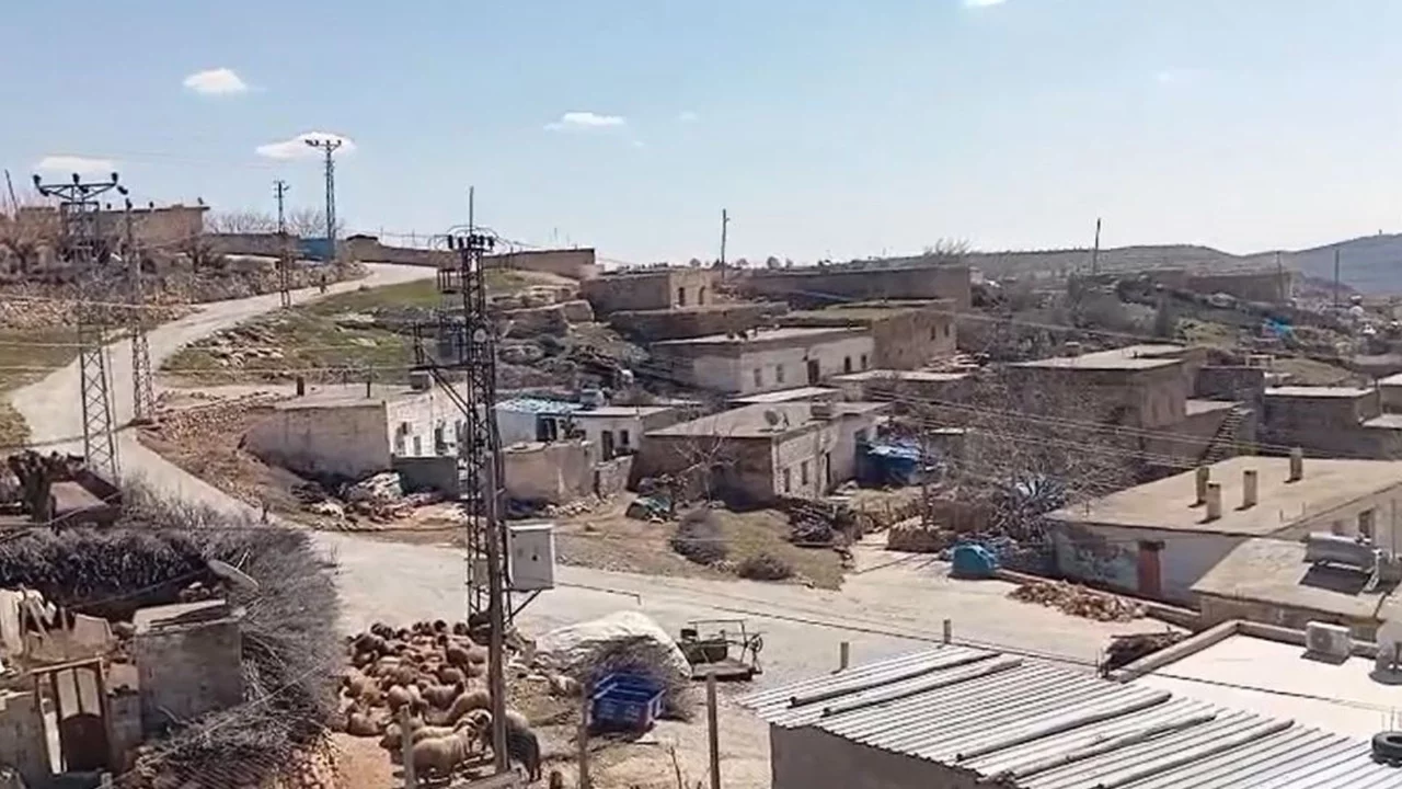 Mahalle karantina altına alındı: Laboratuvar sonuçları bekleniyor 