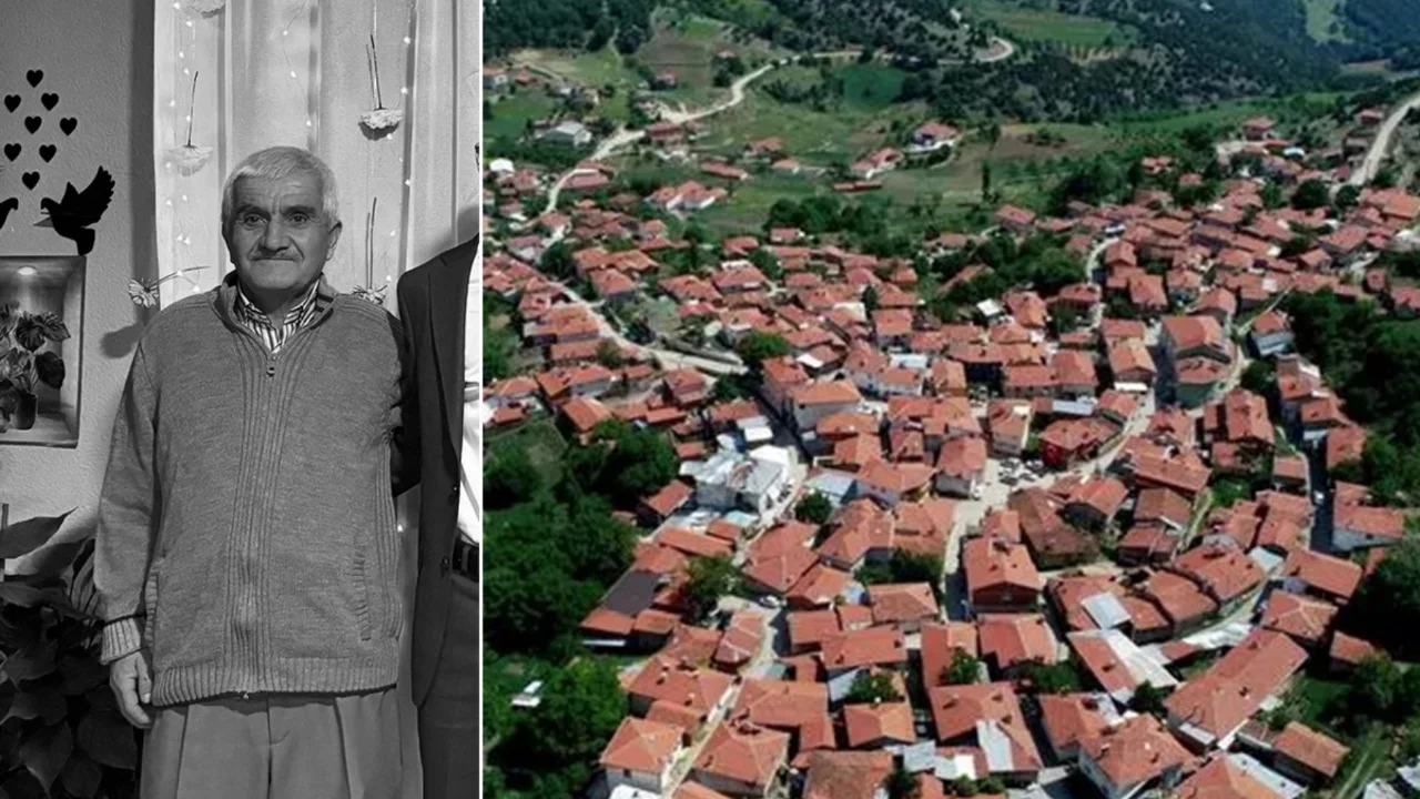 Bursa'da ormanda ölüm! Burçak topluyordu, domuz sanıp vurdular