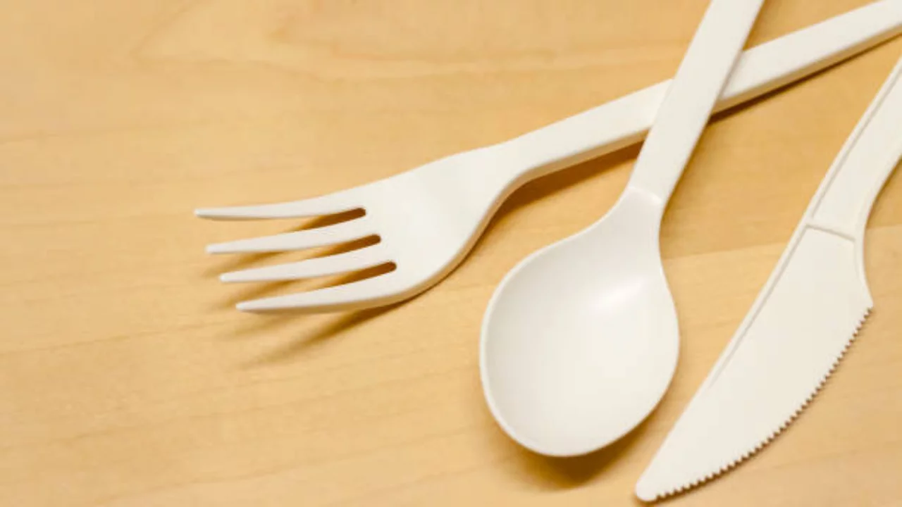 Plastik &ccedil;atal, tabak ve pipetlere yasak!