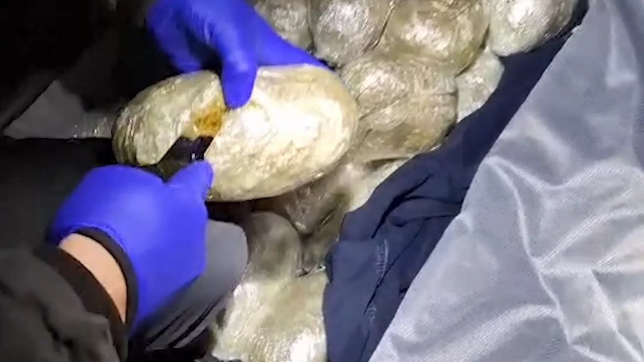 Bitlis'te 4 kilo 800 gram skunk ele ge&ccedil;irildi