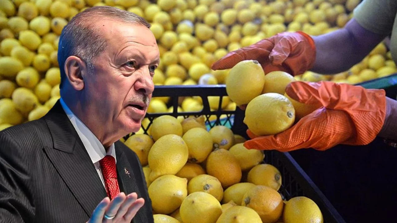 100 lirayı aşan limon fiyatlarına müdahale! Cumhurbaşkanı Erdoğan el attı