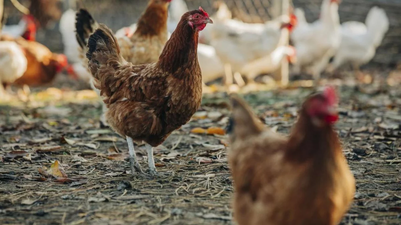 Ülkeyi sarsan skandal! Sapığın telefonundan neler çıktı neler...