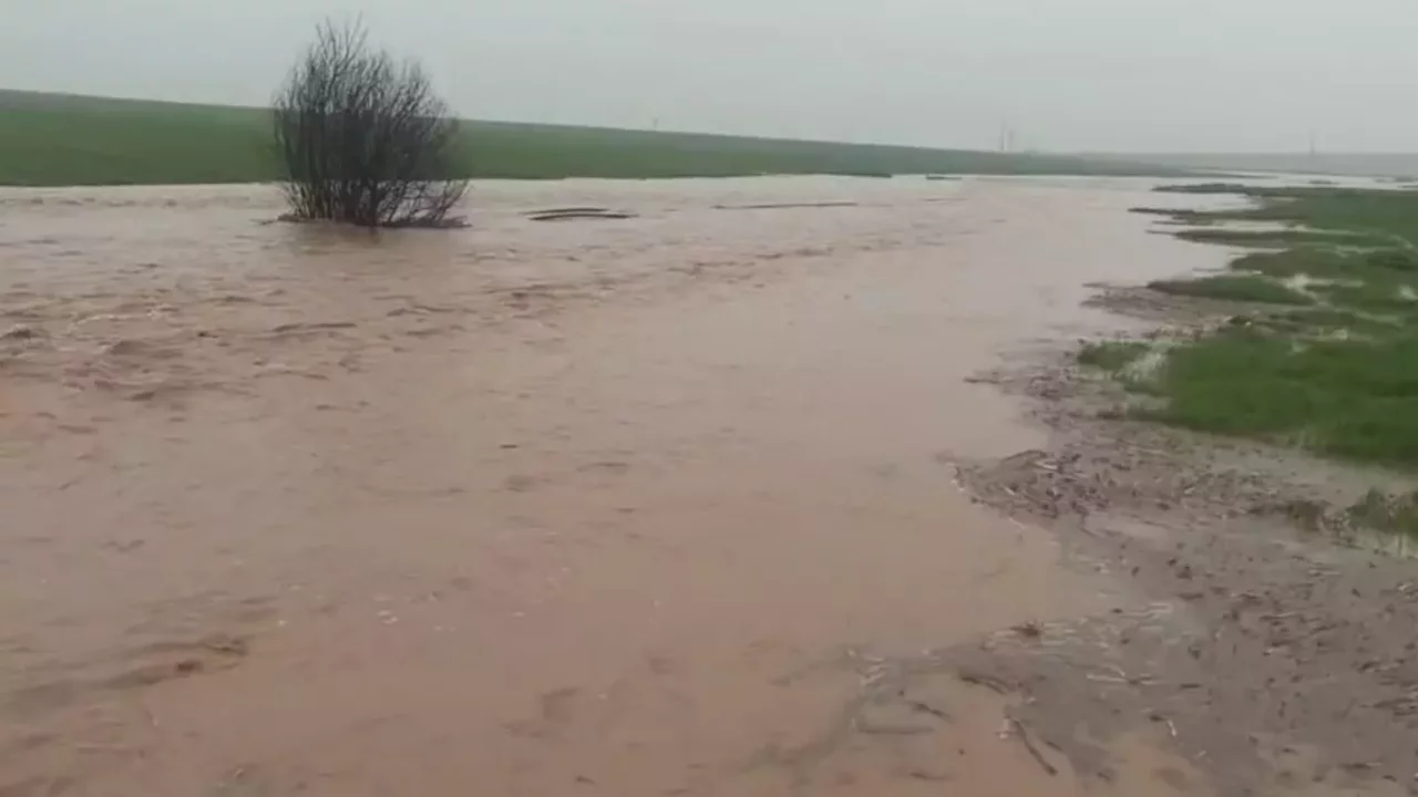 Mardin ve Diyarbakır'da taşkın!