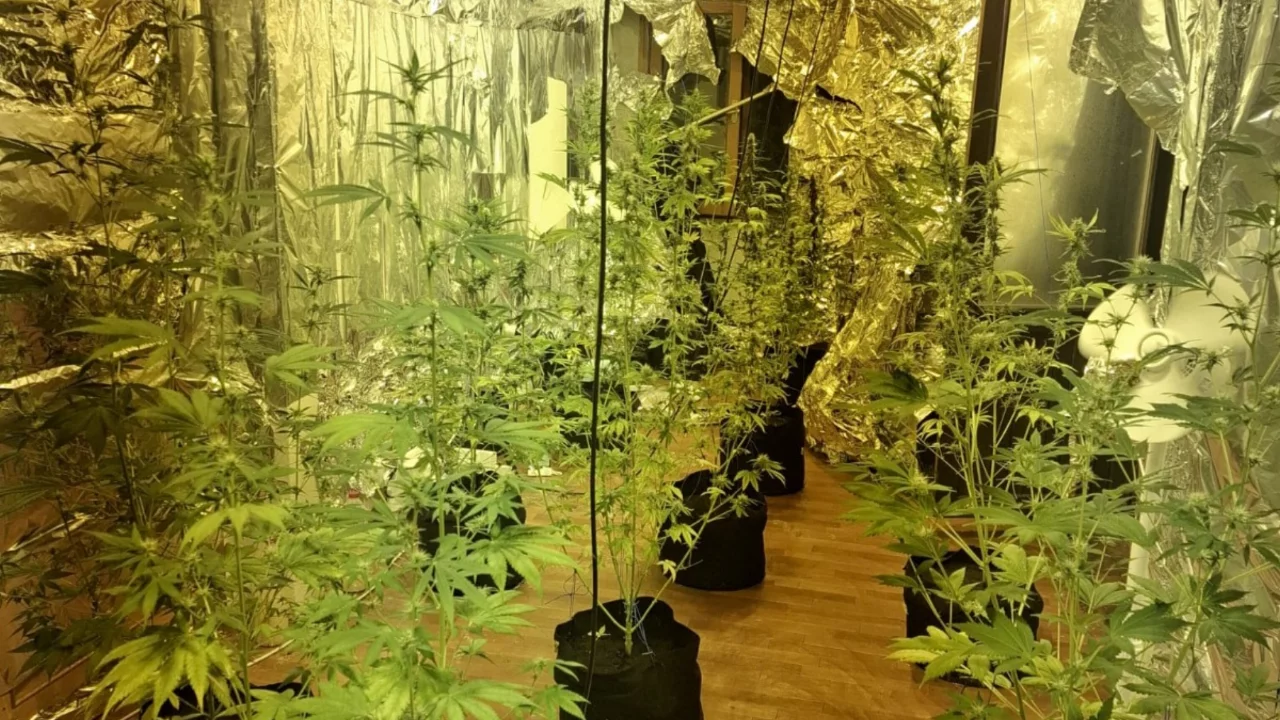 Emniyetten uyuşturucu operasyonu! Hem cezaevi firarisi, hem zehir taciri... 