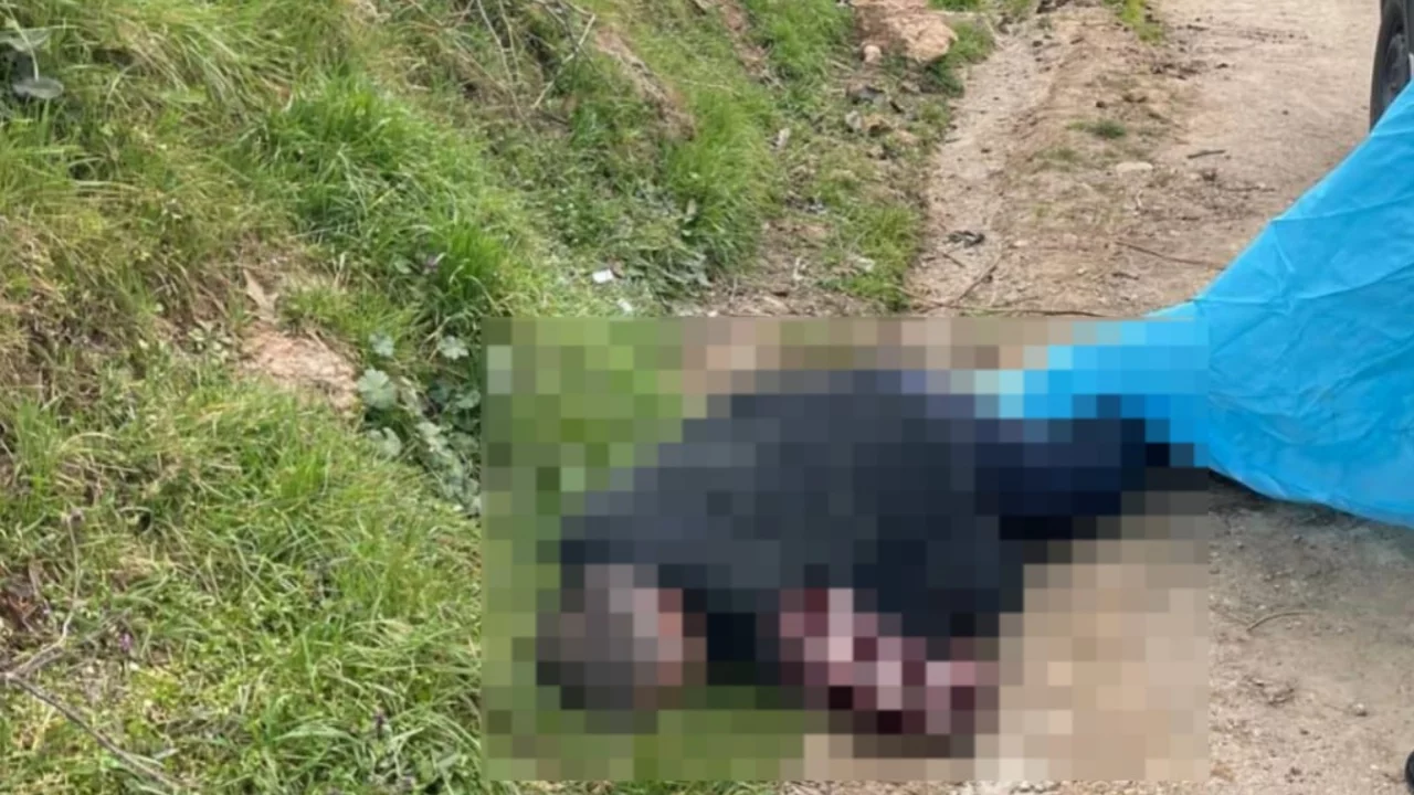 Bursa'da iftar vakti korkunç cinayet! Keserle öldürdü