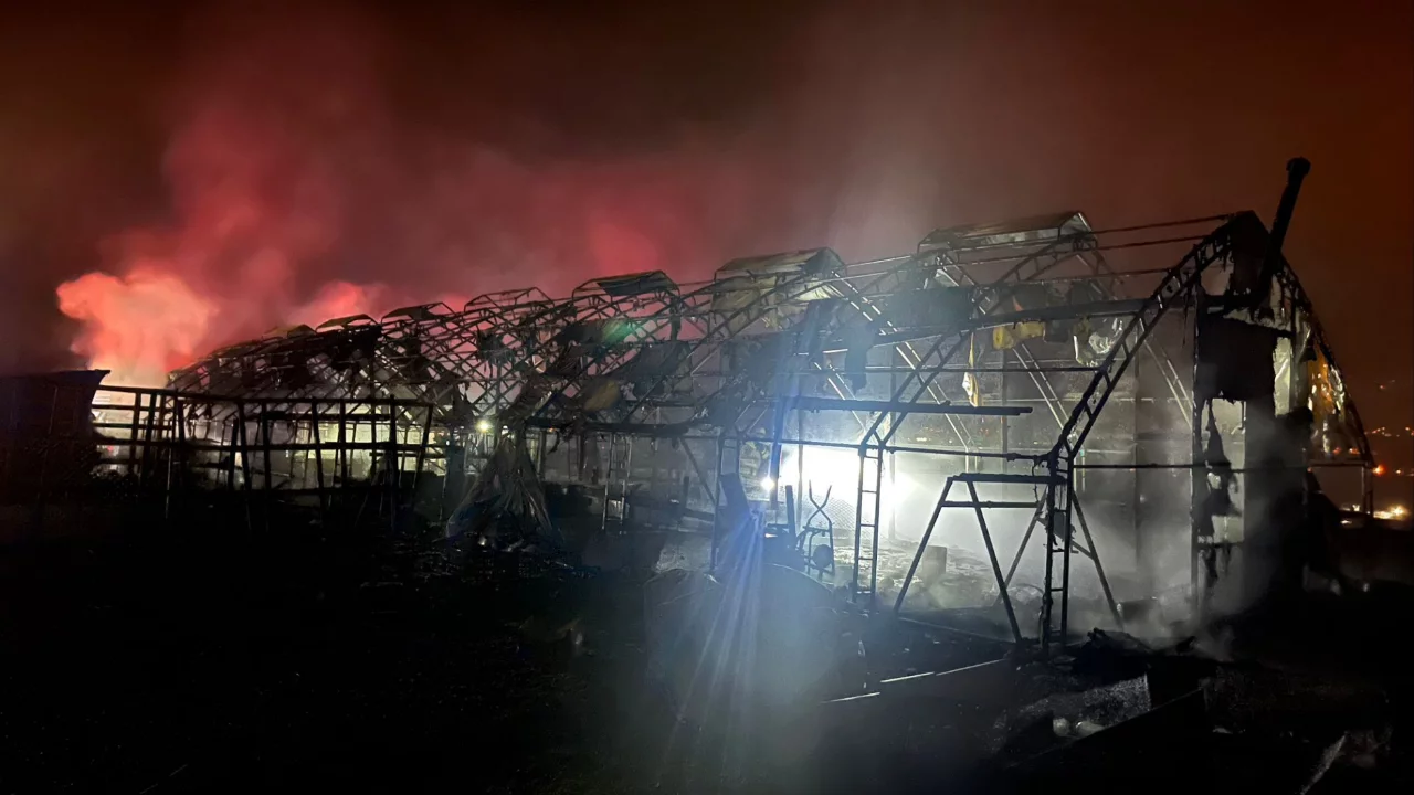 Bursa'da yüzlerce hayvan telef oldu!