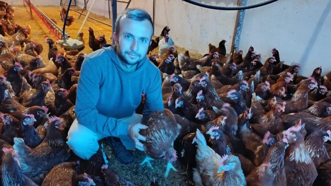 50 tavukla başladı, 400'e &ccedil;ıktı! Kira &ouml;demekten bıkınca hayatının fırsatını yakaladı