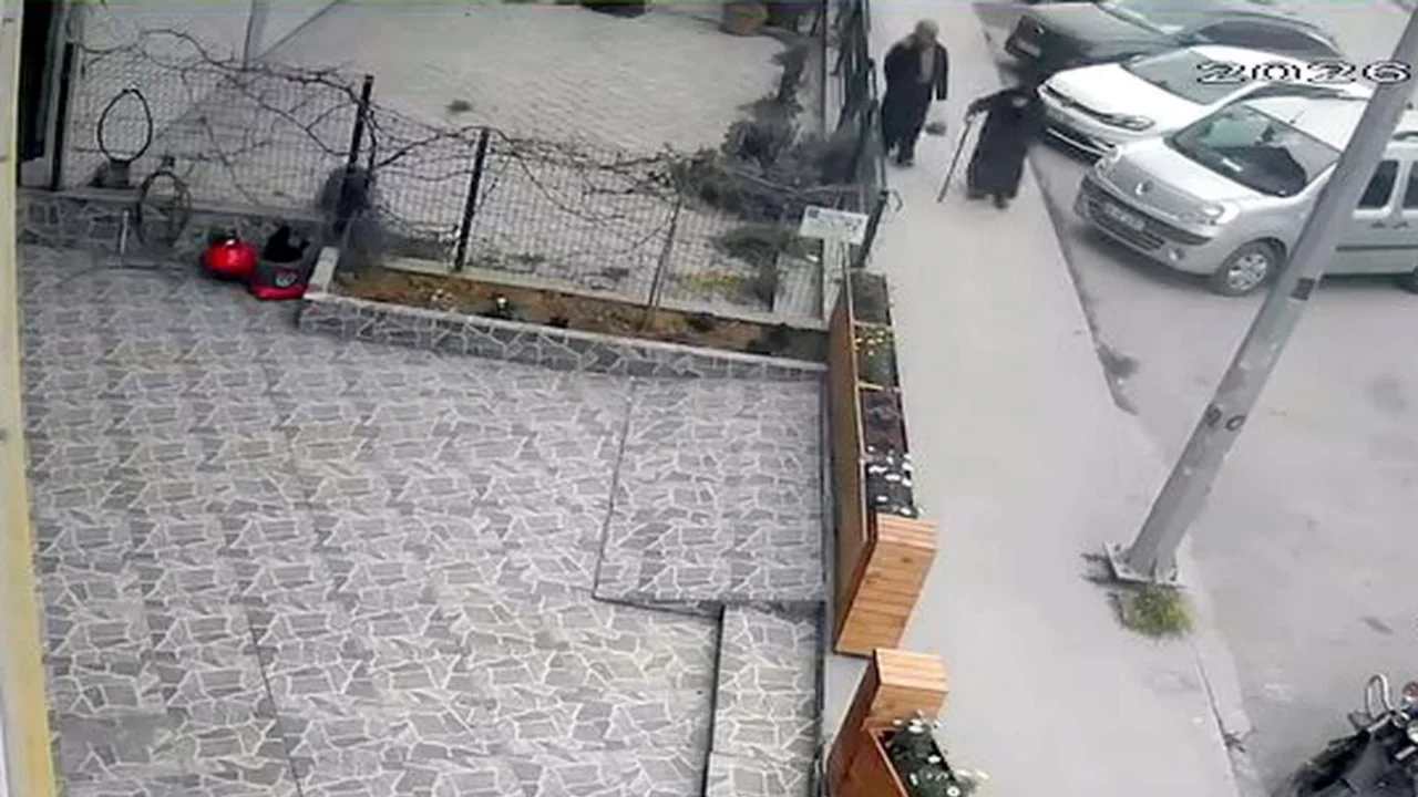 Avcılar'da bastonla geldi; iş yeri &ouml;n&uuml;ndeki &ccedil;i&ccedil;ekleri k&ouml;k&uuml;nden s&ouml;k&uuml;p &ccedil;aldı
