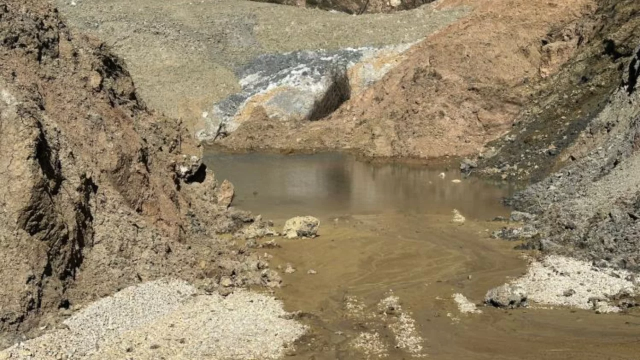 Bursa'da çevre felaketi yaşanıyor!