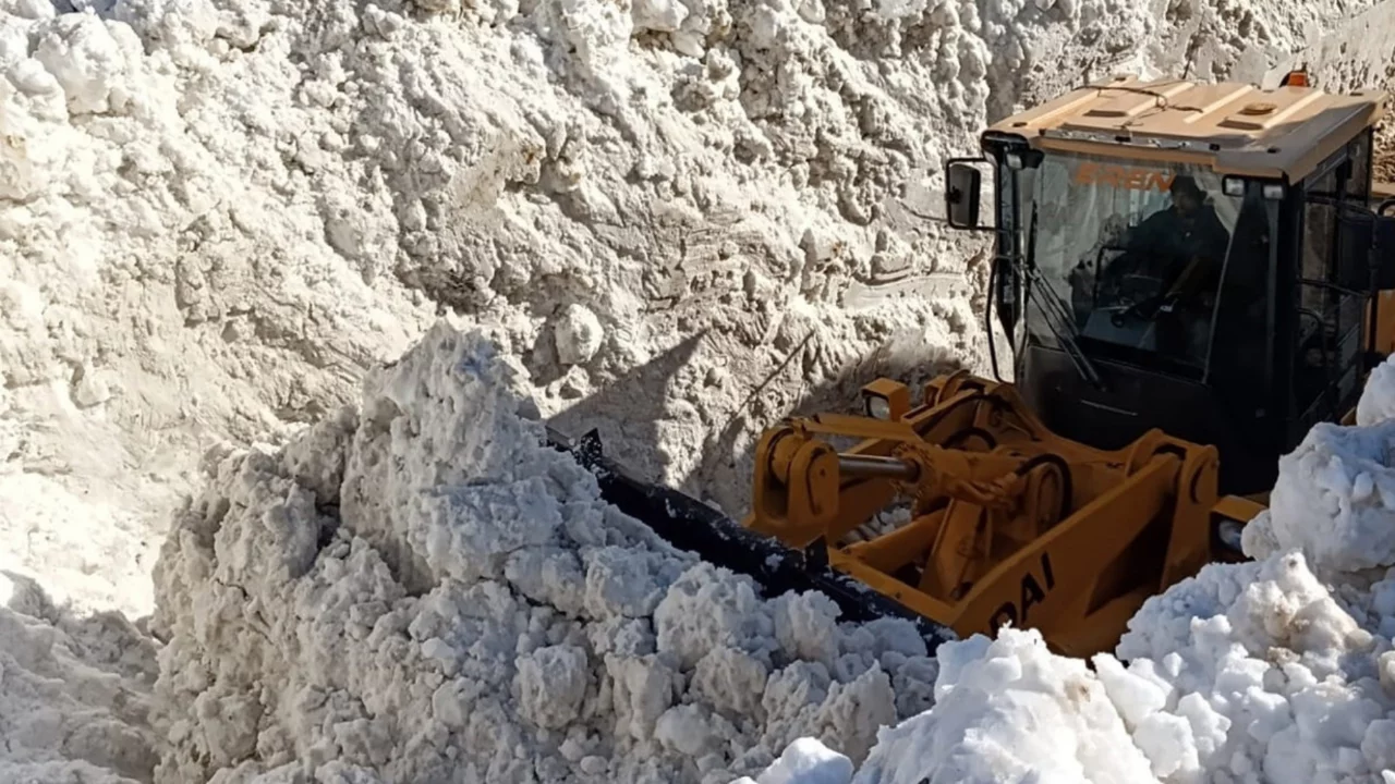 Van'da çığ düştü: 1 mahalle ve 8 mezra ulaşıma kapandı 