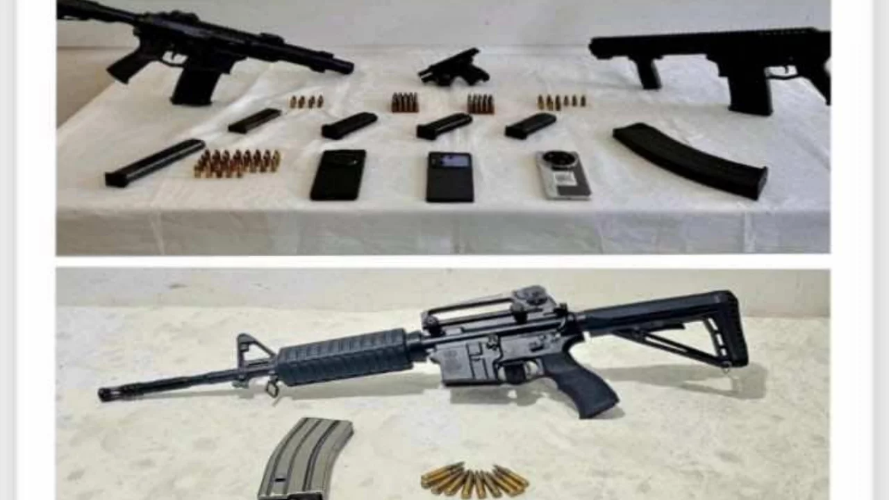 Mardin'de kaçak silah operasyonu: 2 tutuklama