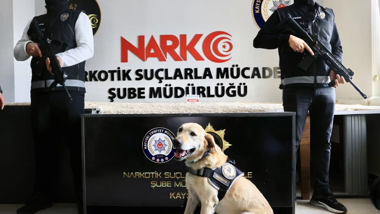 Kayseri'de &ccedil;ekici kasasında 1 milyon 260 bin uyuşturucu hap ele ge&ccedil;irildi