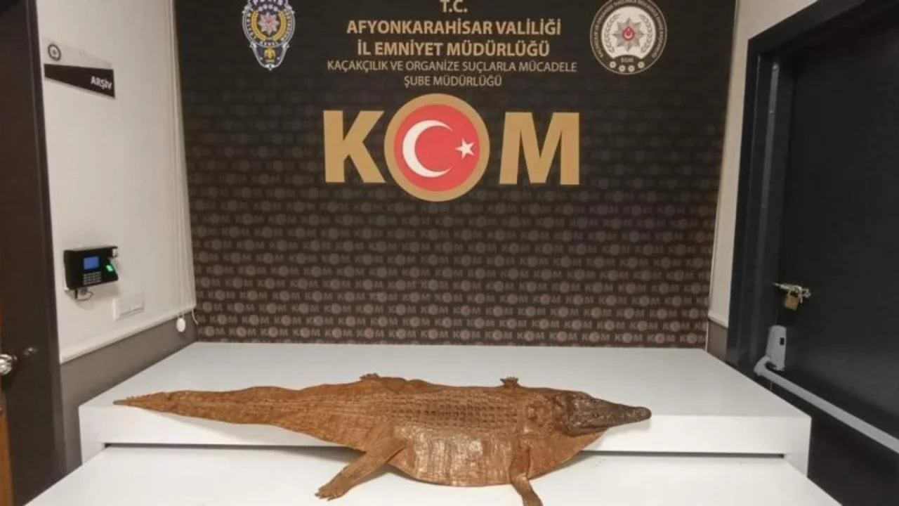 Polisin durdurduğu ara&ccedil;ta timsah derisi ele ge&ccedil;irildi
