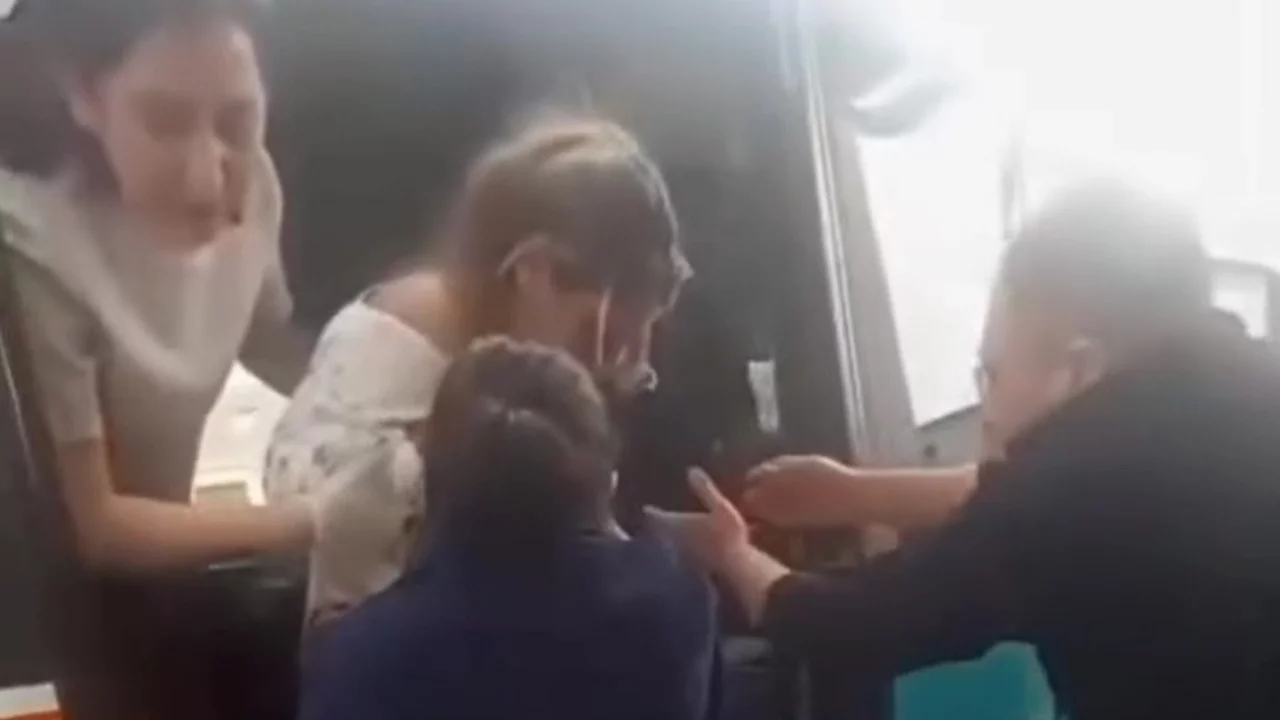 Hastaneye yetişemeyen kadın dolmuşta doğurdu!