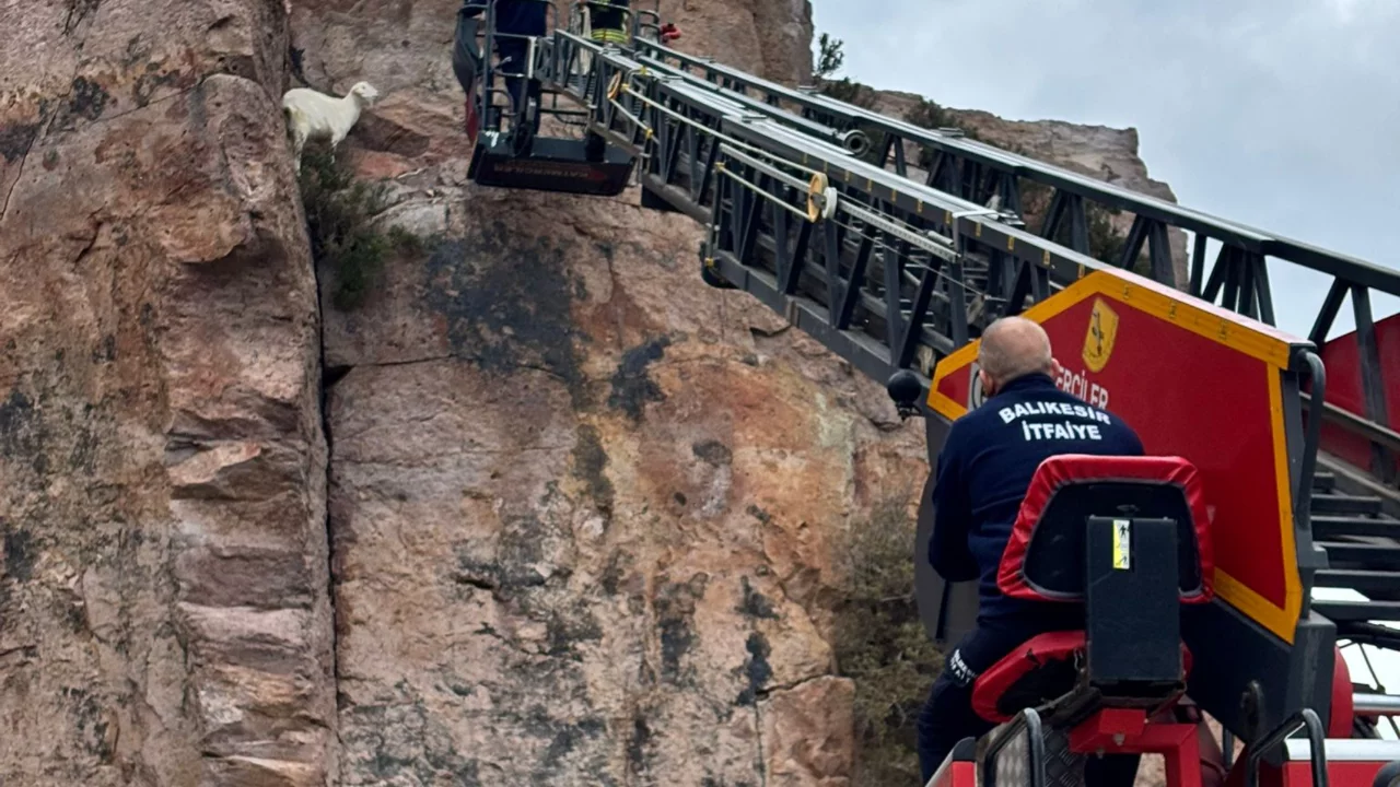 Balıkesir'de kayalıklarda mahsur kalan keçiyi itfaiye kurtardı
