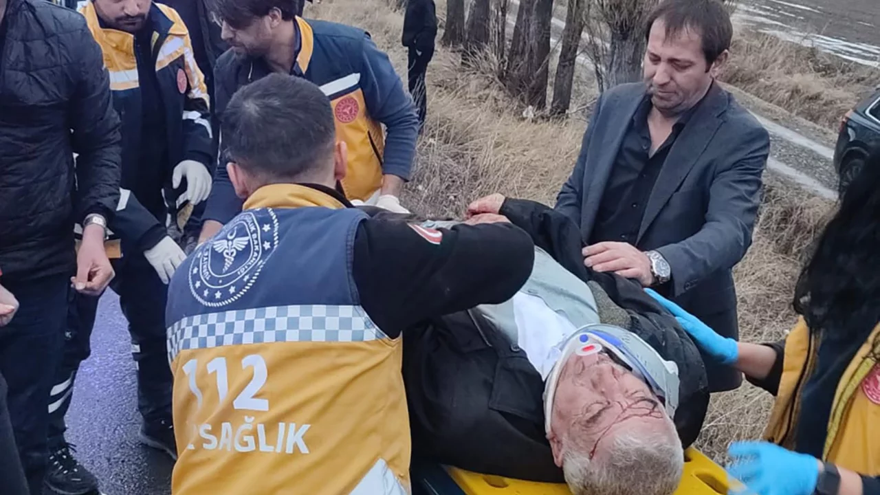 Erzurum'da ağaca &ccedil;arpan otomobildeki 2 kişi hayatını kaybetti!