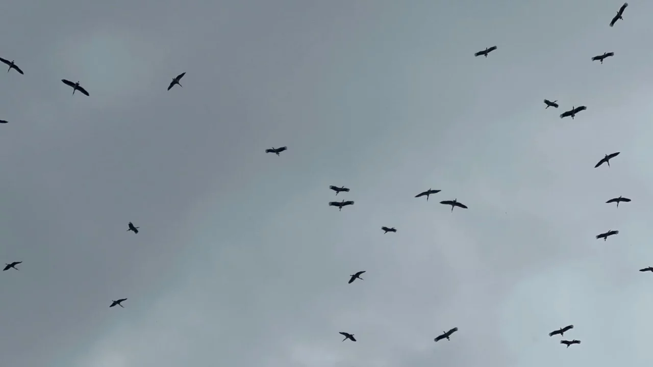 Bursa semalarında belirdi! İnananlar için mesaj büyük...