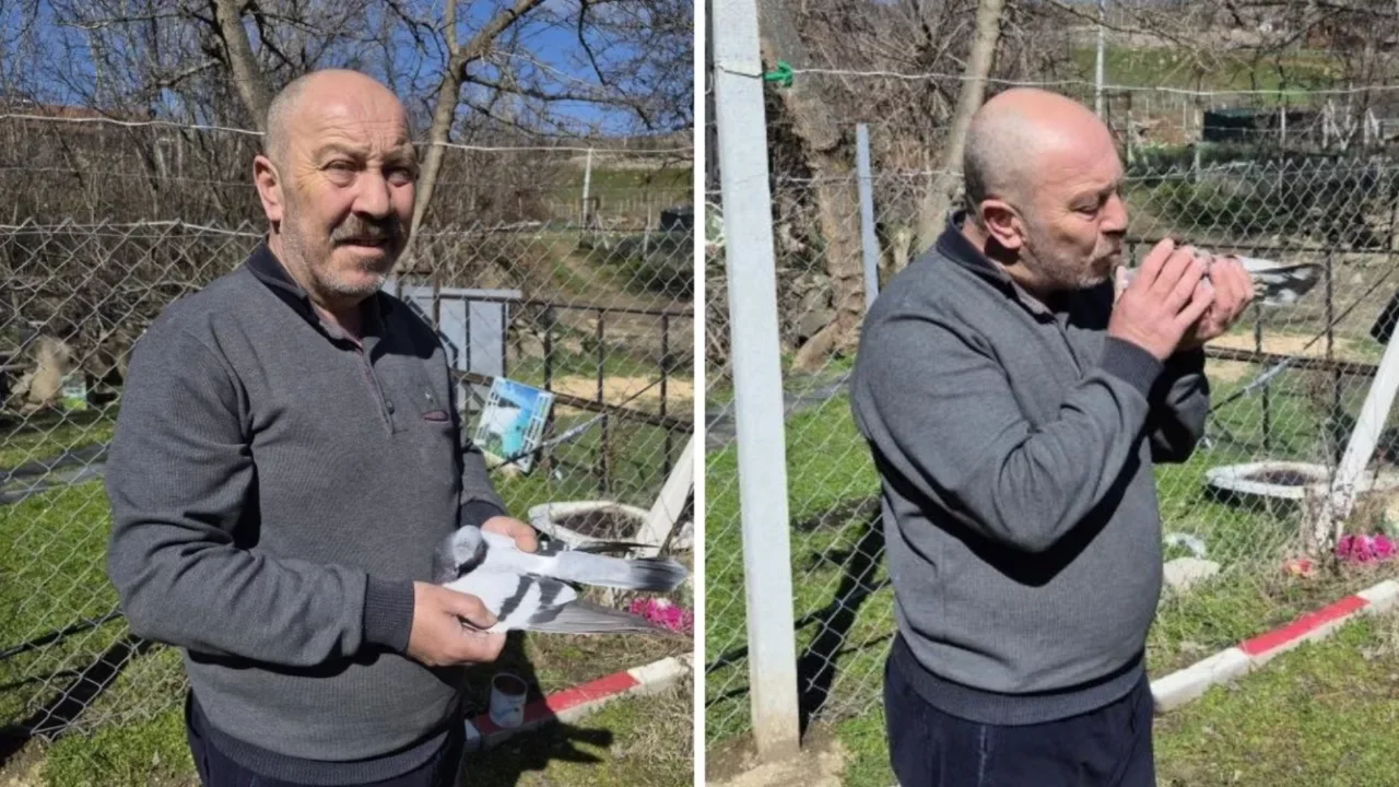 Bu resmen bir hastalık! Her g&uuml;n 16 km yol gidiyor: Ev parası veren var