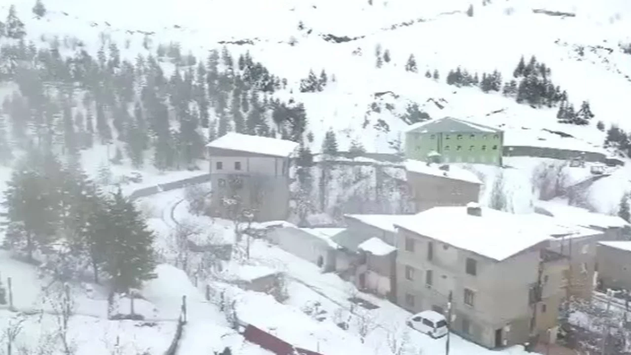 Van, Hakkari, Bitlis'te 103 yol kapandı: Kar ve tipi ulaşımı fel&ccedil; etti