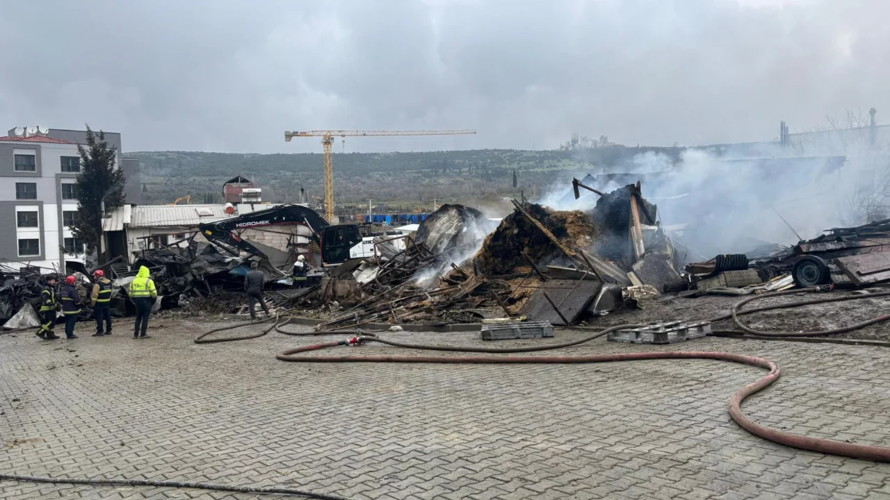 Ahır yangınında &ccedil;ok sayıda hayvan telef oldu...
