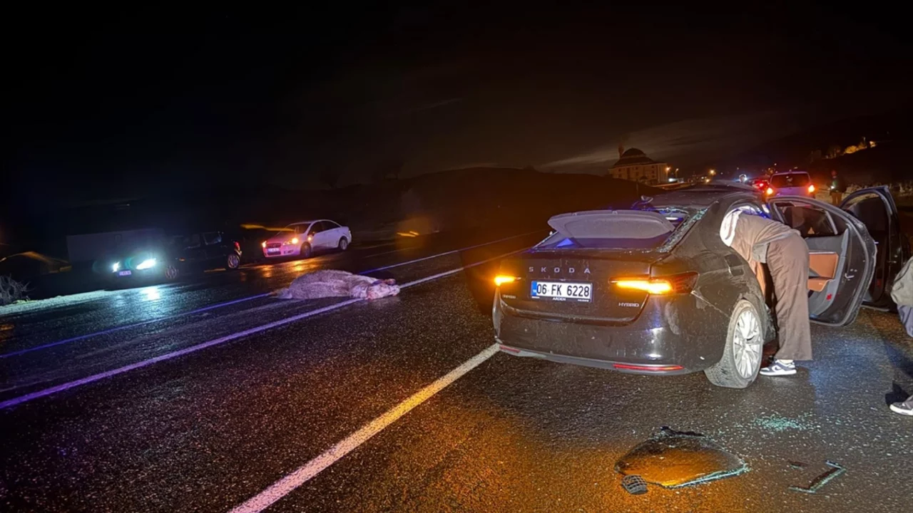 Bing&ouml;l'de ata &ccedil;arpan otomobildeki 4 kişi yaralandı