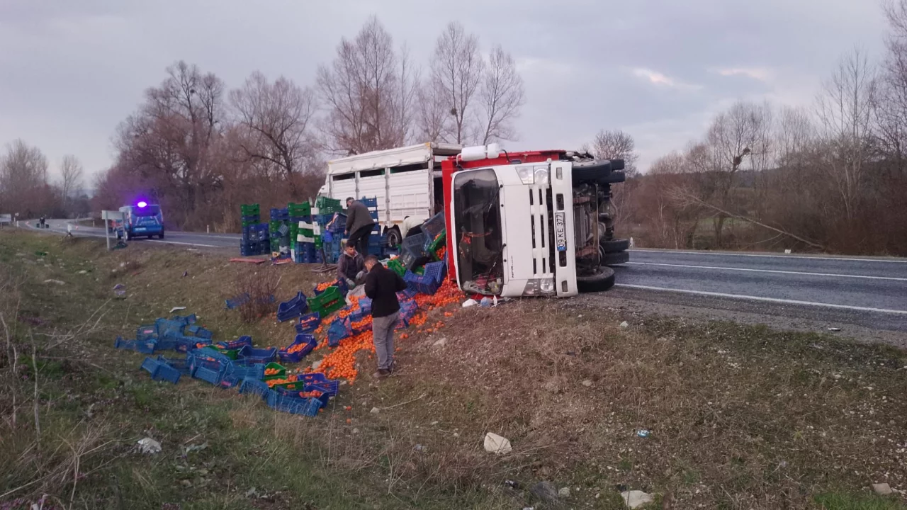 Domani&ccedil;'te kamyonet takla attı: 2 yaralı