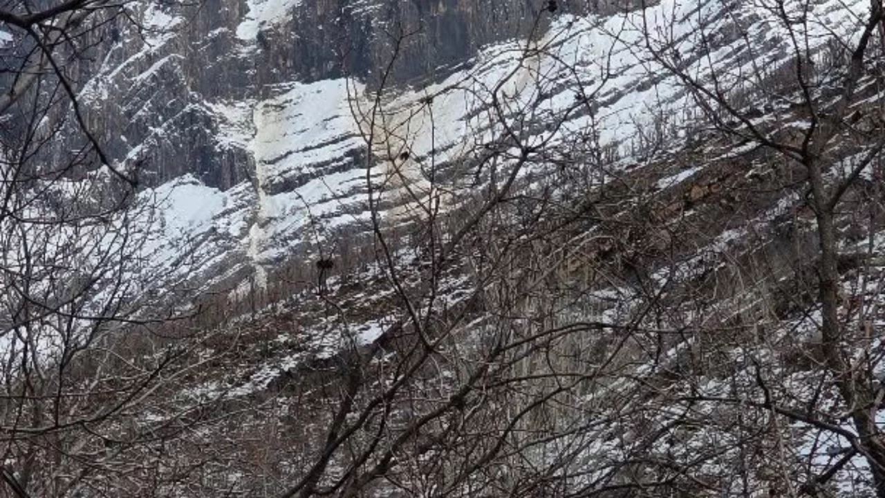 Kar k&uuml;tlesi şelale gibi aktı