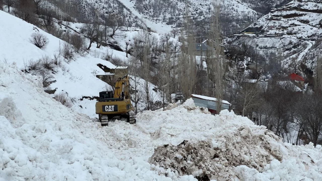 Y&uuml;ksekova'da k&ouml;ye d&uuml;şen &ccedil;ığ korkuya neden oldu