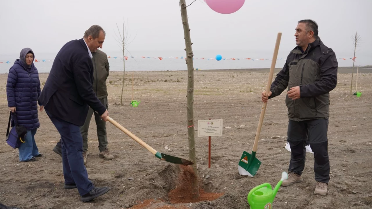 Bursa İznik'te fidanlar toprakla buluştu