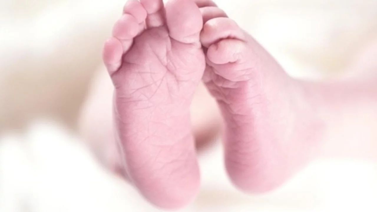 Bursa'da kan donduran olay: Tuvalette doğurdu, 'at çöpe' dedi...