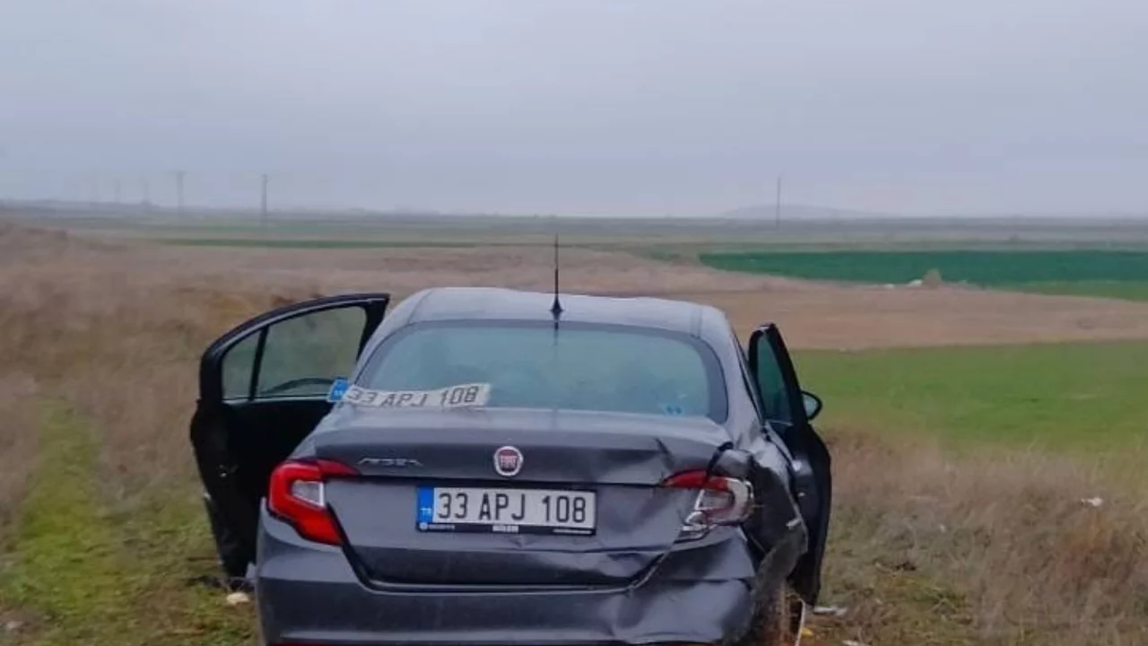 Bariyerlere &ccedil;arpıp tarım arazisine giren otomobilde 5 kişi yaralandı
