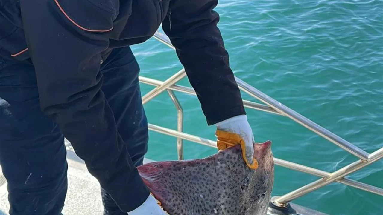 Marmara Denizi'nde ka&ccedil;ak av aracına el konuldu