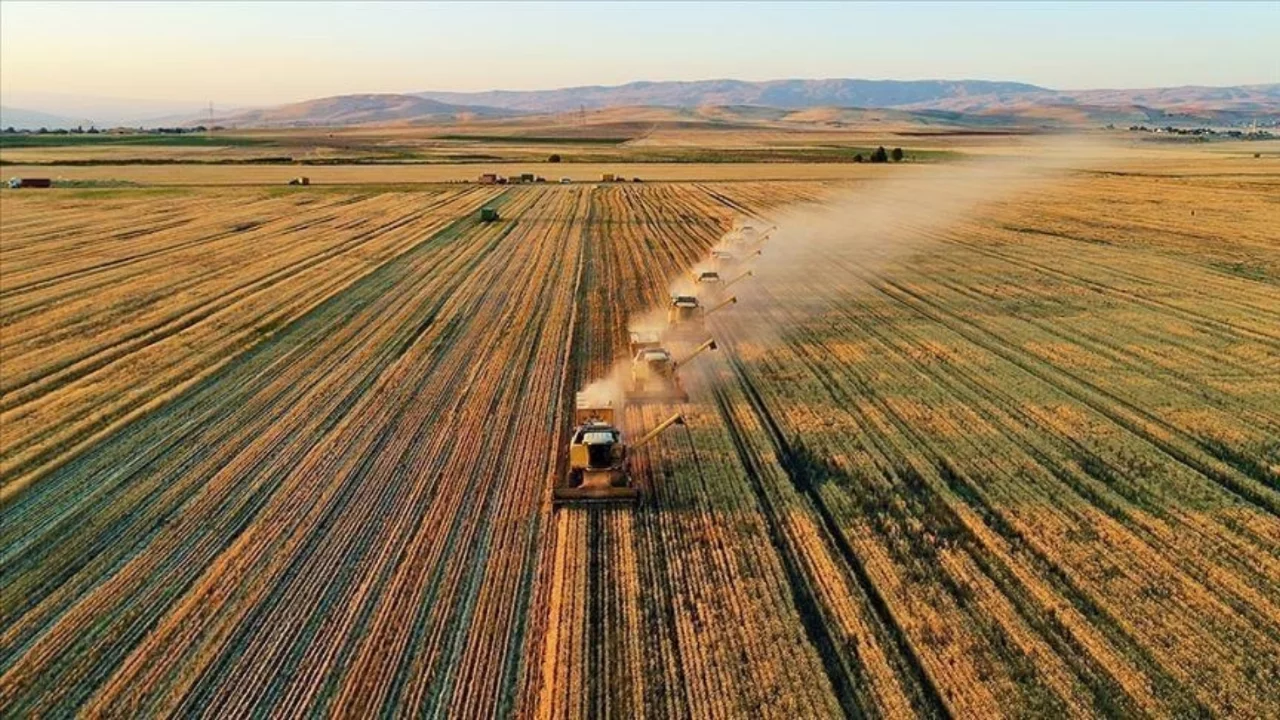 TARSİM'e taahh&uuml;t edilecek hasar fazlasına ilişkin prim oranları belirlendi