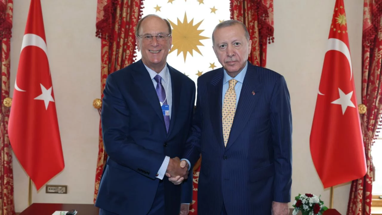 Cumhurbaşkanı Erdoğan WEF Başkanı Fink'i kabul etti