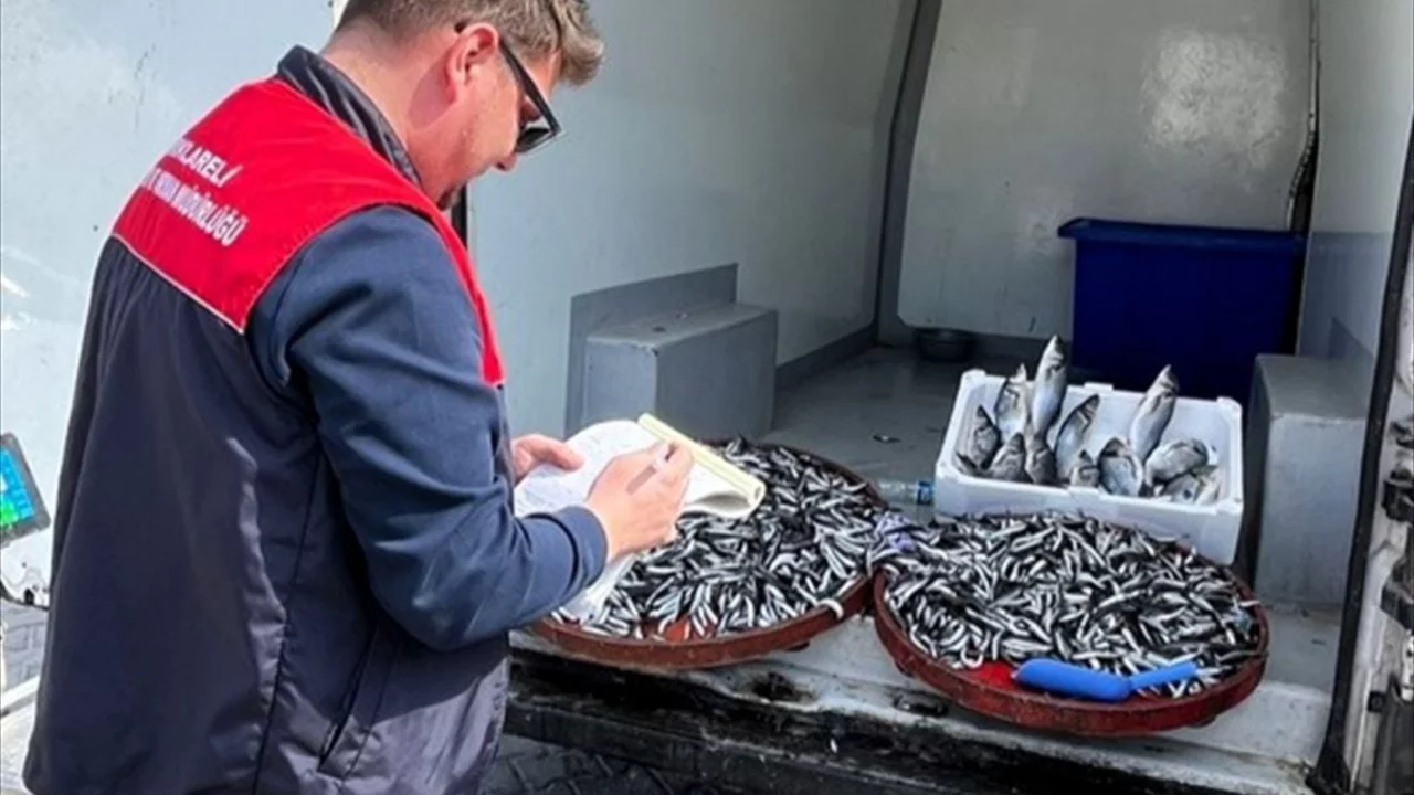 Balıklar denetime girdi, tek tek incelendi