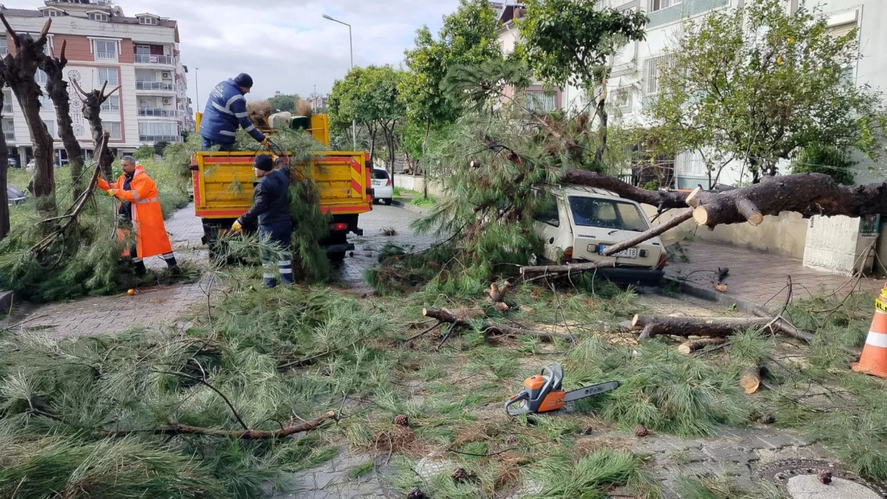 &Uuml;zerine ağa&ccedil; devrilen park halindeki ara&ccedil; zarar g&ouml;rd&uuml;