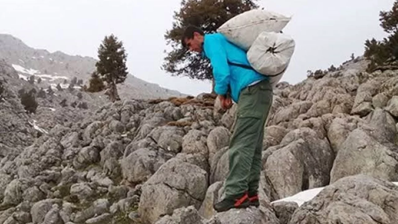 Kilosu 300 liradan satılıyor! G&uuml;nde 21 bin lira kazanan var
